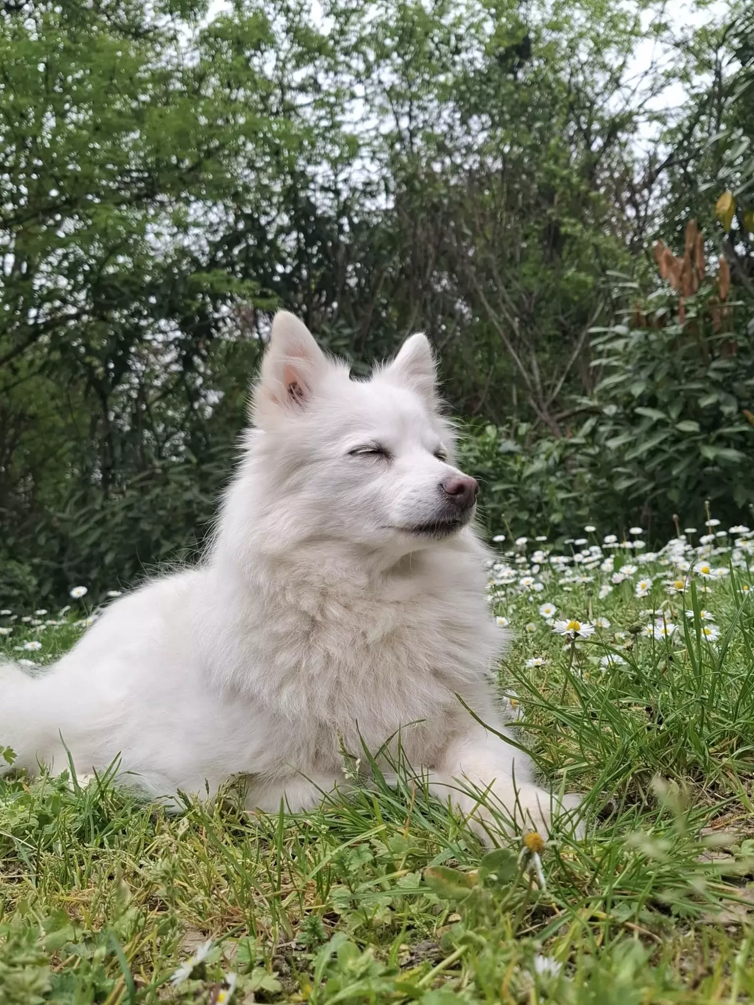 17e2fcfd-6e36-49dc-9e57-0fd4c5ae4219