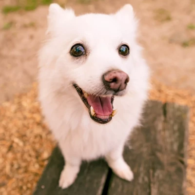 camille-loba-illustration-rejoins-nous